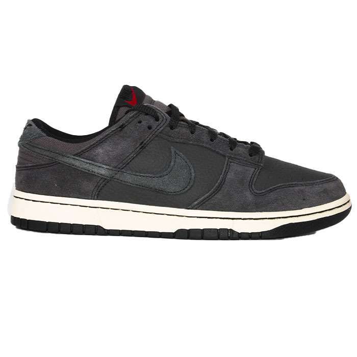 Кроссовки Nike Dunk Low PRM HF3145-001