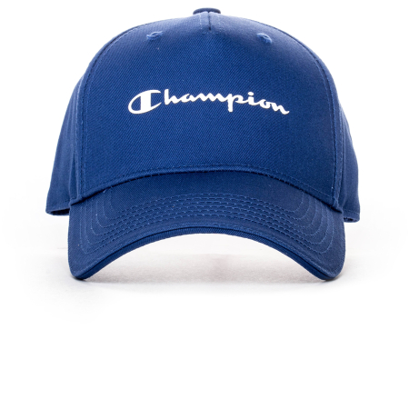 champion 804470